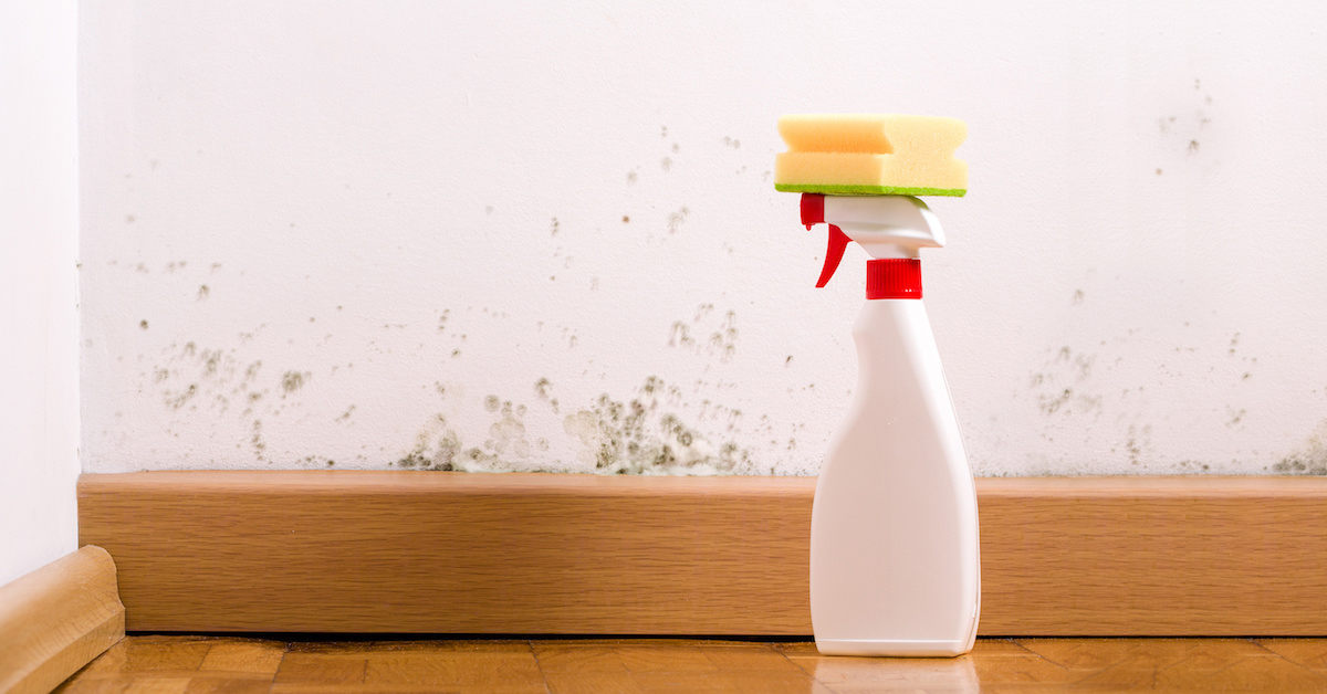 Cleaning Mold Bleach vs Hydrogen Peroxide Homebiotic Probiotics