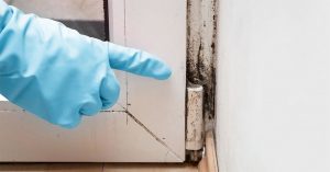 black mold on door frame - Homebiotic - how to use homebiotic spray
