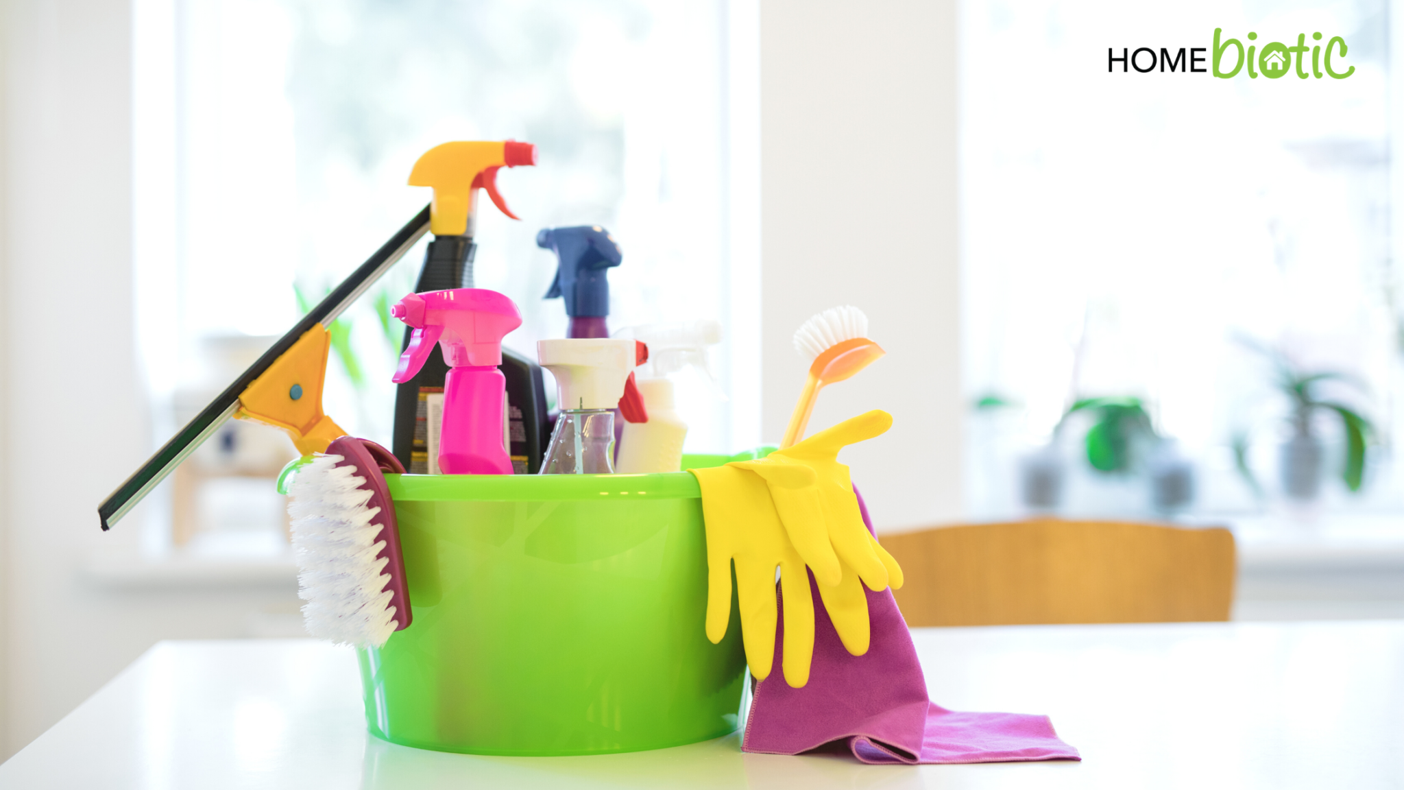 Cleaning Mold Bleach vs Hydrogen Peroxide Homebiotic Probiotics