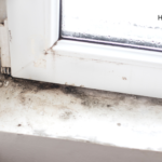 Can Mold Exposure Increase Your Coronavirus Risk? | Mold growing on a window sill