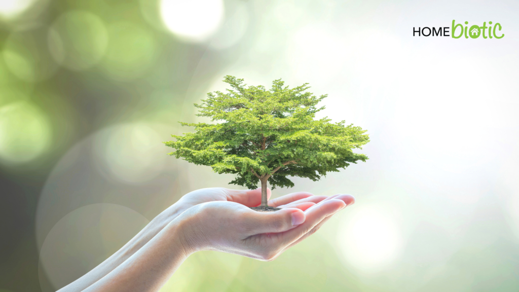 How Mold Impacts the Environment | Hands holding a bonsai tree
