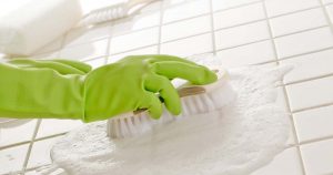 Over-Cleaning Causes Increased Fungal Growth in Urban Homes