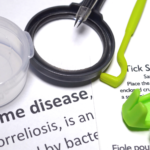 5 Must-Have Lyme Disease & Mold Resources | Lyme Disease Testing Supplies
