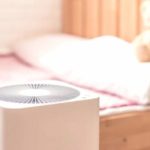 Do Air Purifiers Help with Mold Growth? | Blog