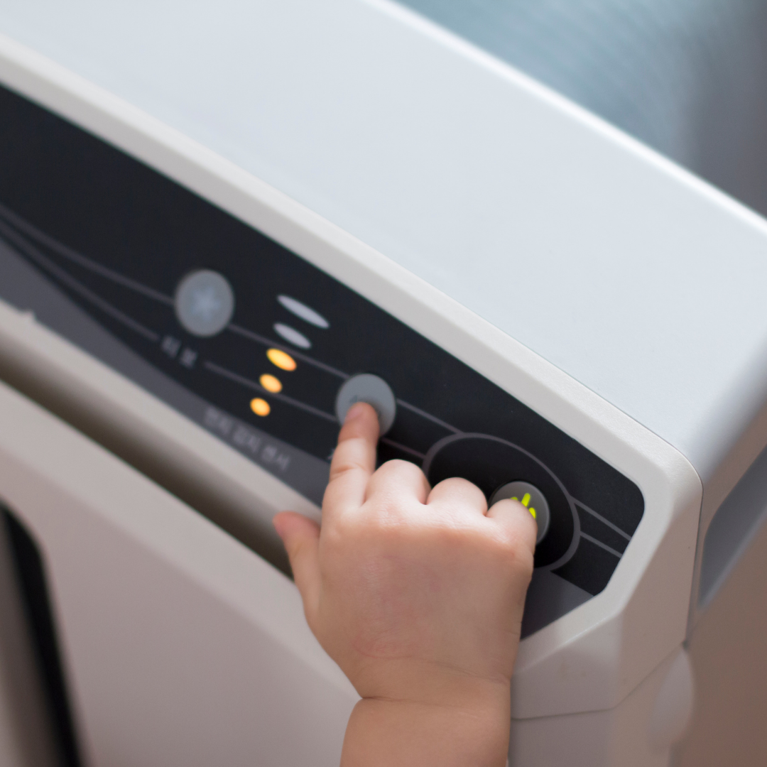 Will A Dehumidifier Help With Mold? Homebiotic Probiotics For Your Home