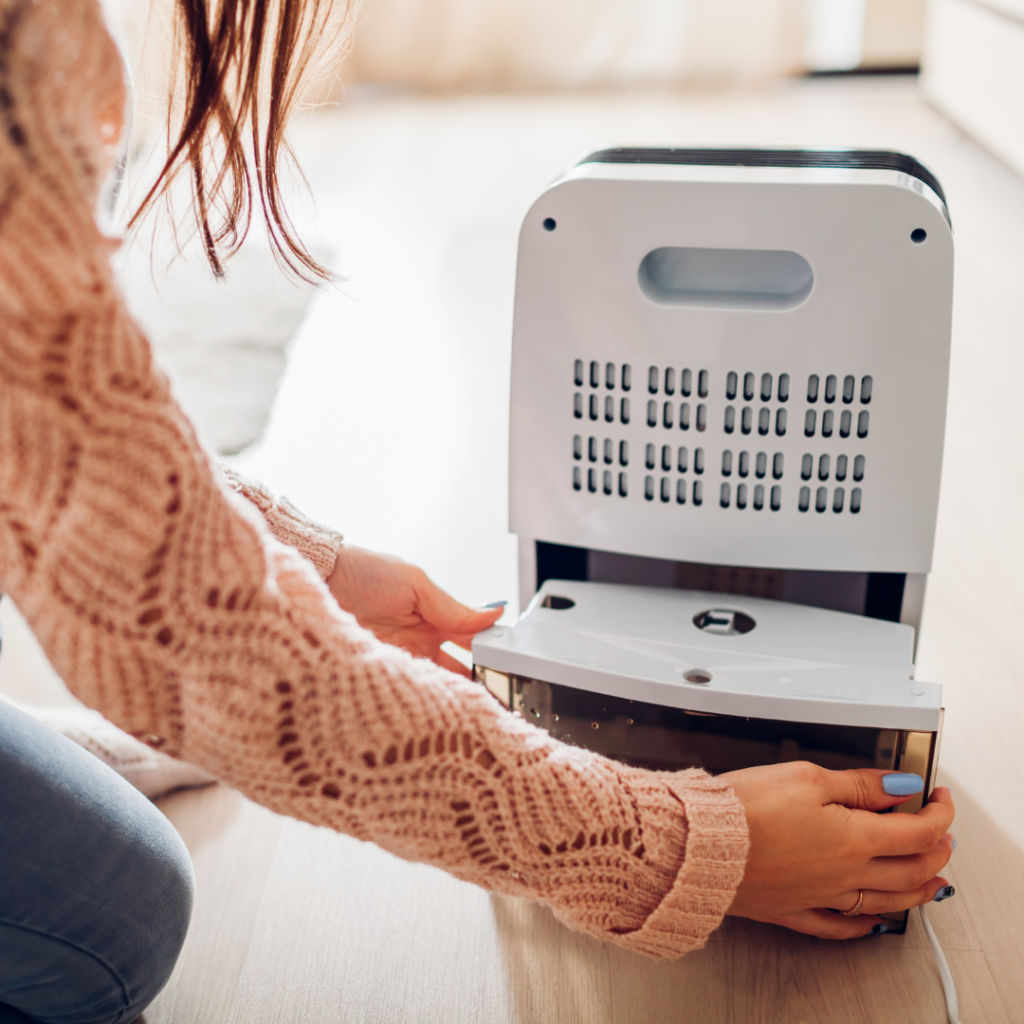 Will A Dehumidifier Help With Mold? Homebiotic Probiotics For Your Home