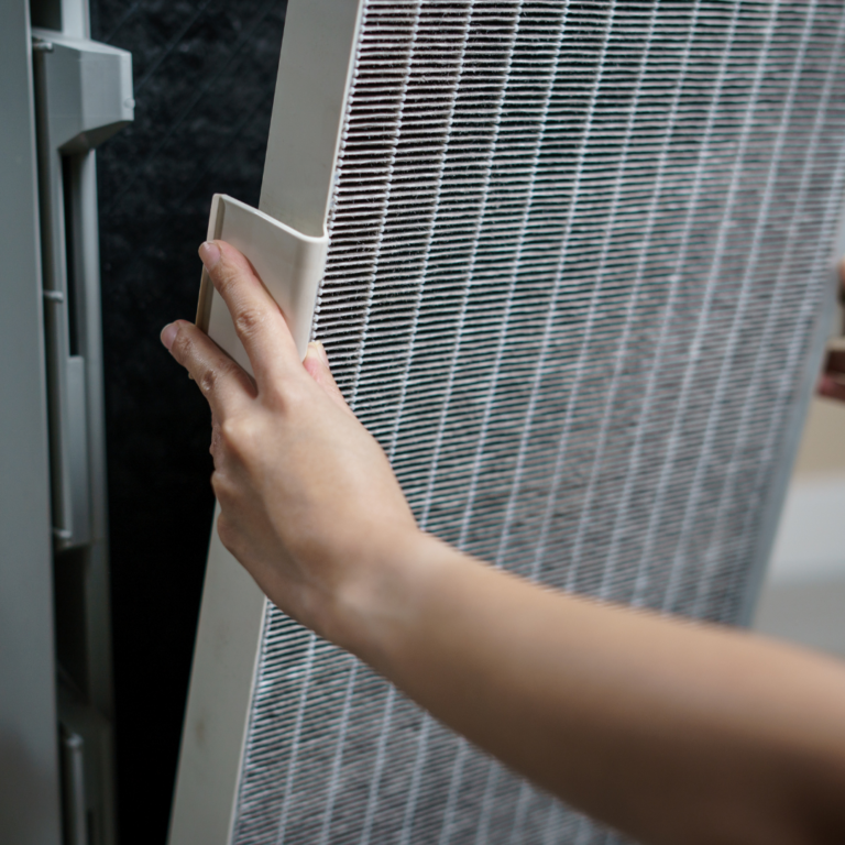 Best Air Filter For Mold Spores Do Air Purifiers Help With Mold Growth? - Homebiotic - Probiotics For