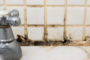 mold on tile - homebiotic - types of mold