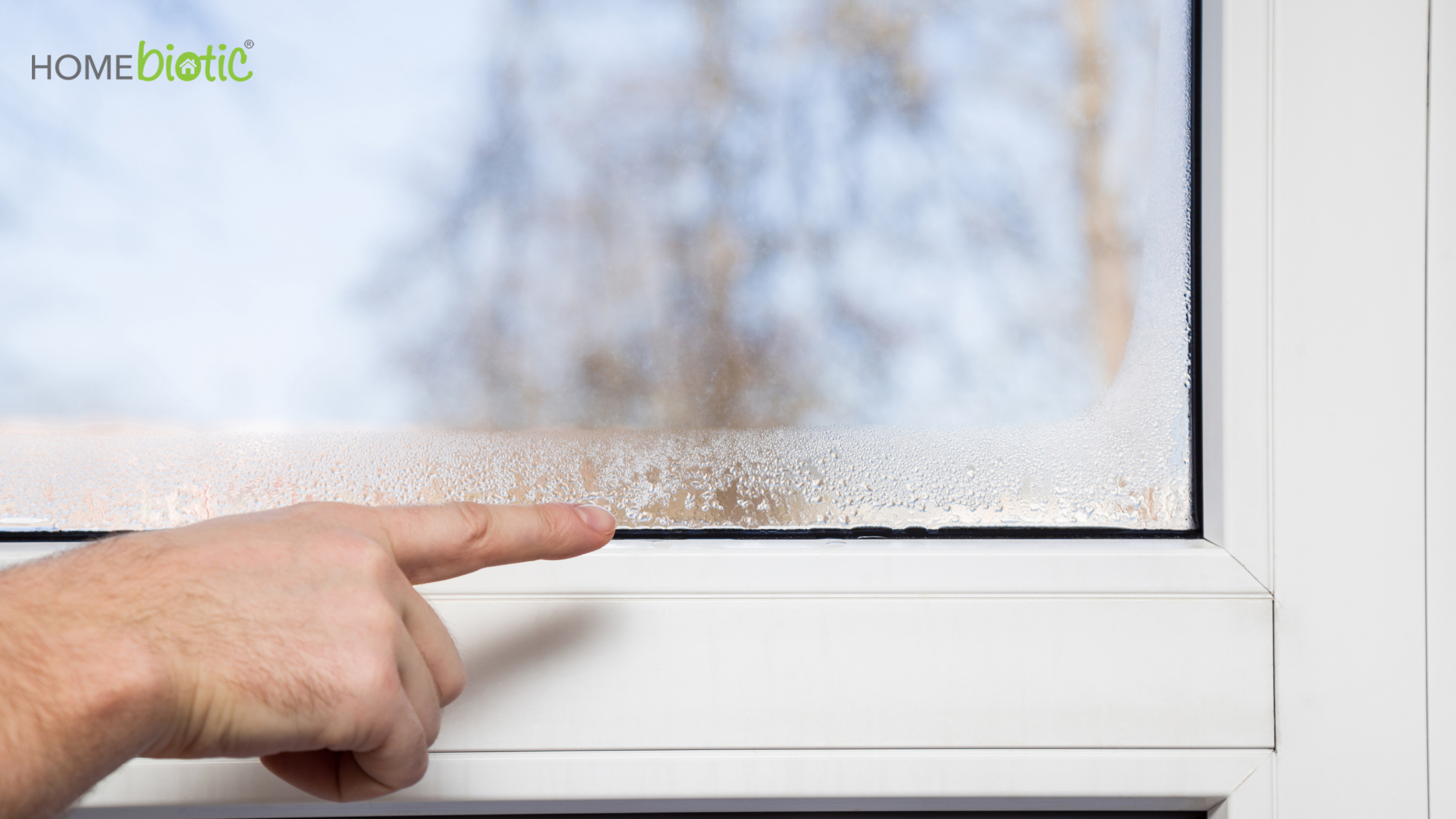 Contaminated Potting Soil | Humidity on Window