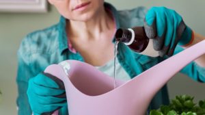5 Must Haves For Natural Cleaning |hydrogen peroxide for plant care - homebiotic